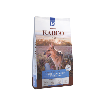 DOG FOOD