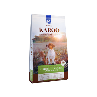DOG FOOD