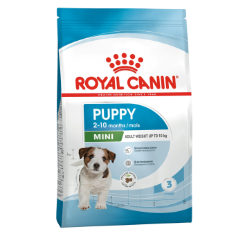 DOG FOOD