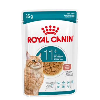 CAT FOOD
