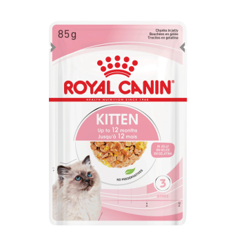 CAT FOOD